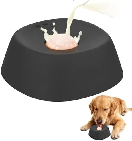 Slow Feeder Dog Bowl Delight