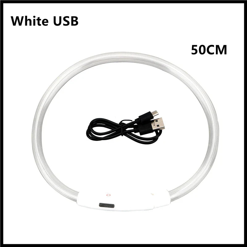 USB Rechargeable LED Dog Collar — Night Safety Glow